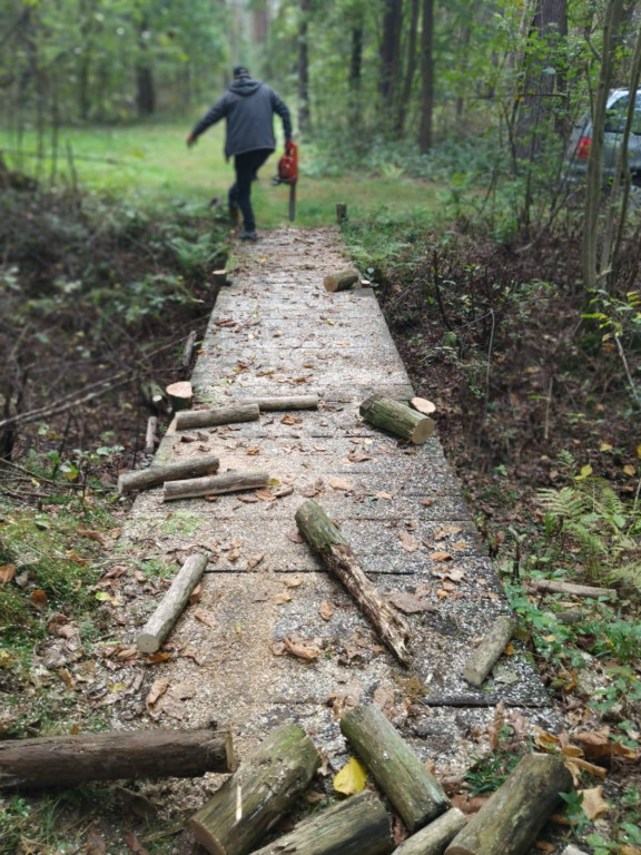 Wymiana kładki w lesie Sumierz