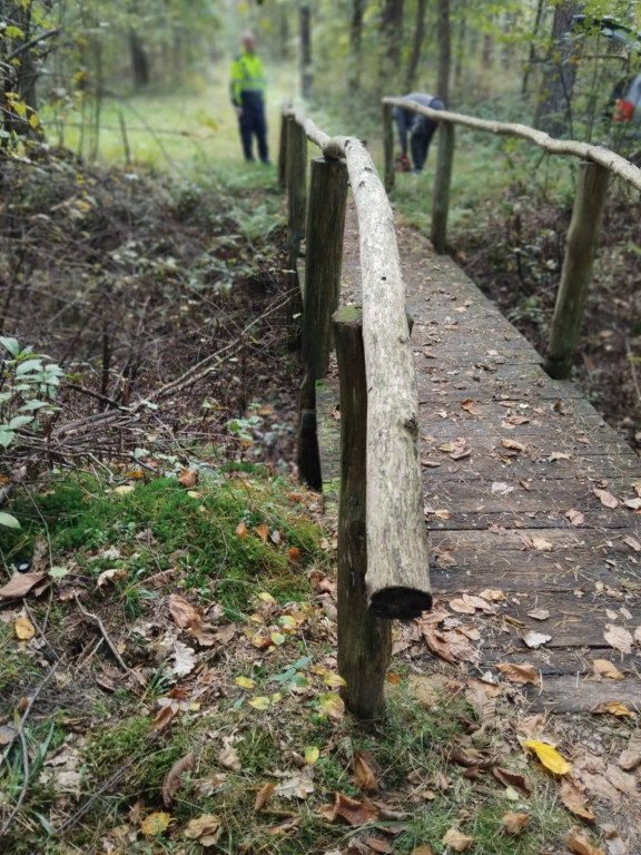 Wymiana kładki w lesie Sumierz