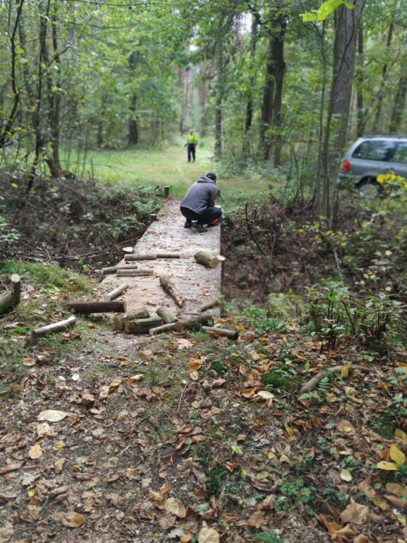 Wymiana kładki w lesie Sumierz