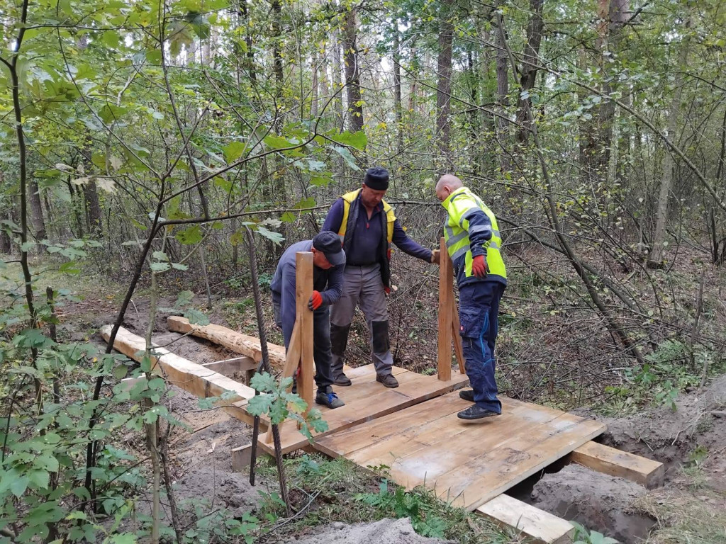 Wymiana kładki w lesie Sumierz