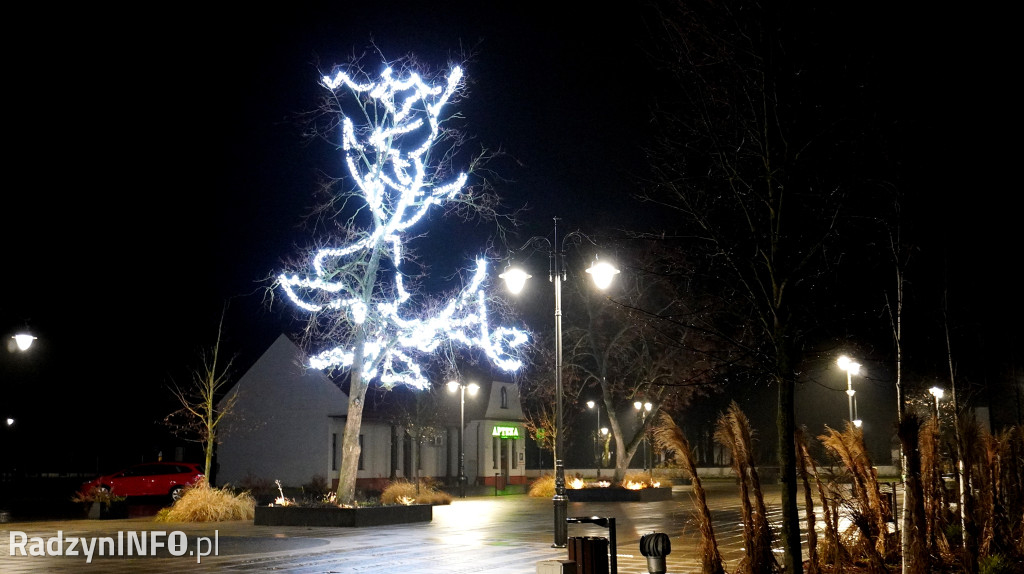Świąteczne dekoracje w Radzyniu