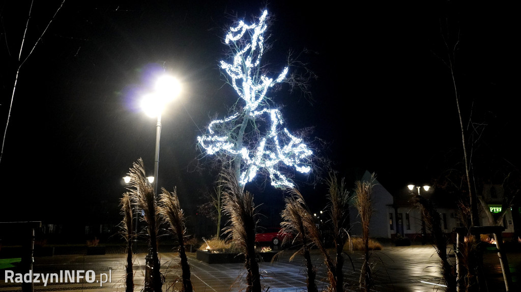 Świąteczne dekoracje w Radzyniu