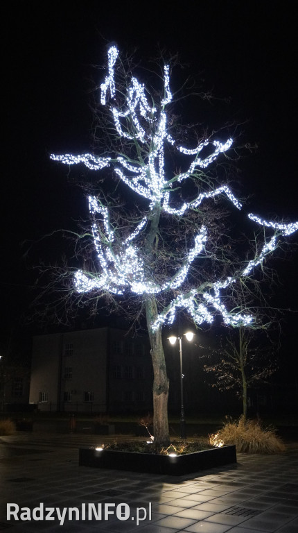 Świąteczne dekoracje w Radzyniu