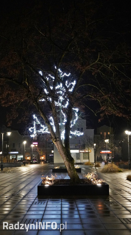 Świąteczne dekoracje w Radzyniu