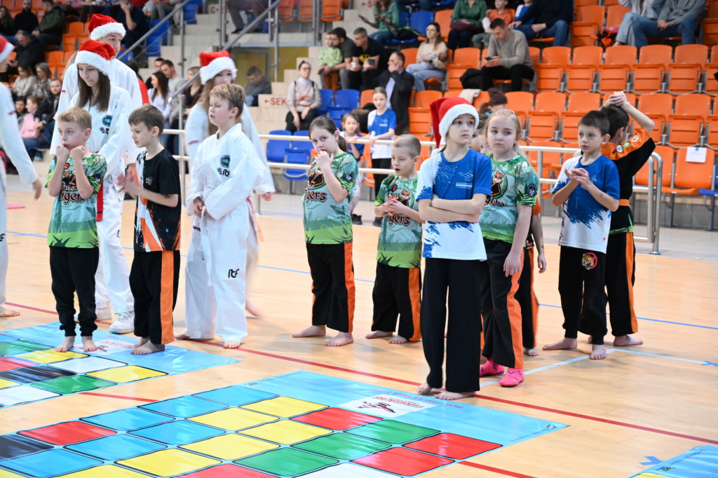 XIV Mikołajkowy Turniej w taekwon-do