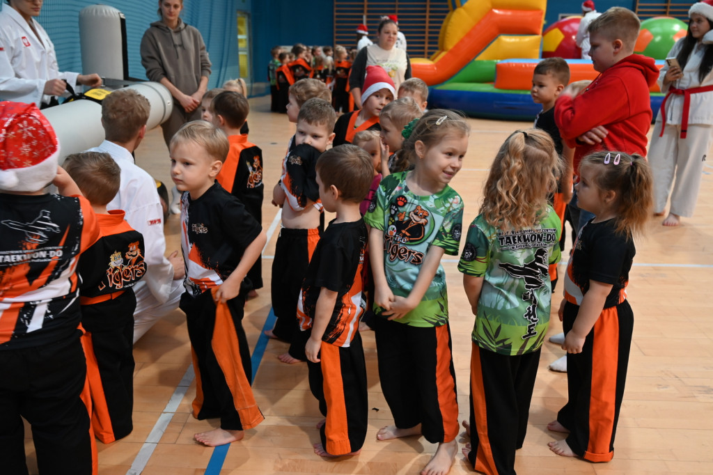 XIV Mikołajkowy Turniej w taekwon-do