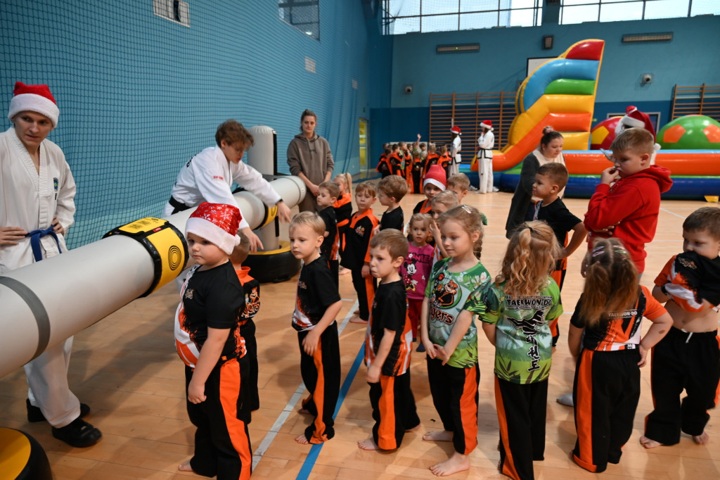 XIV Mikołajkowy Turniej w taekwon-do