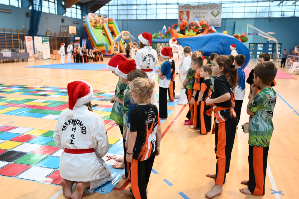 XIV Mikołajkowy Turniej w taekwon-do