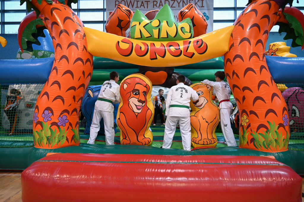 XIV Mikołajkowy Turniej w taekwon-do