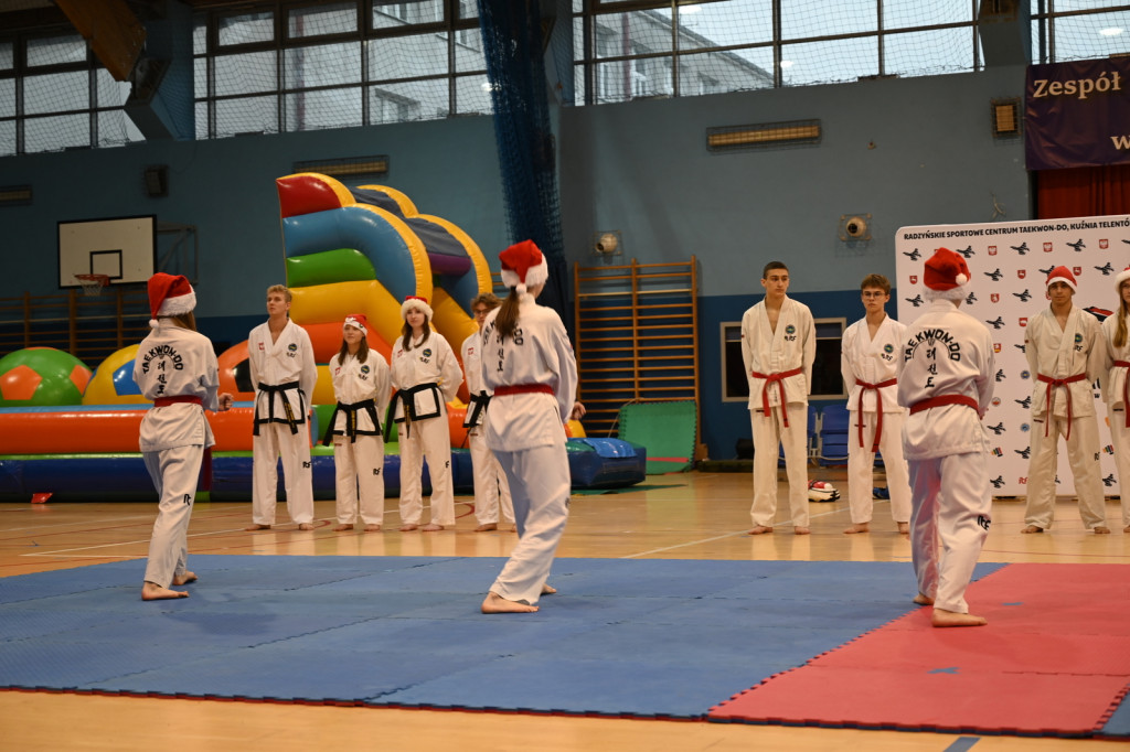 XIV Mikołajkowy Turniej w taekwon-do