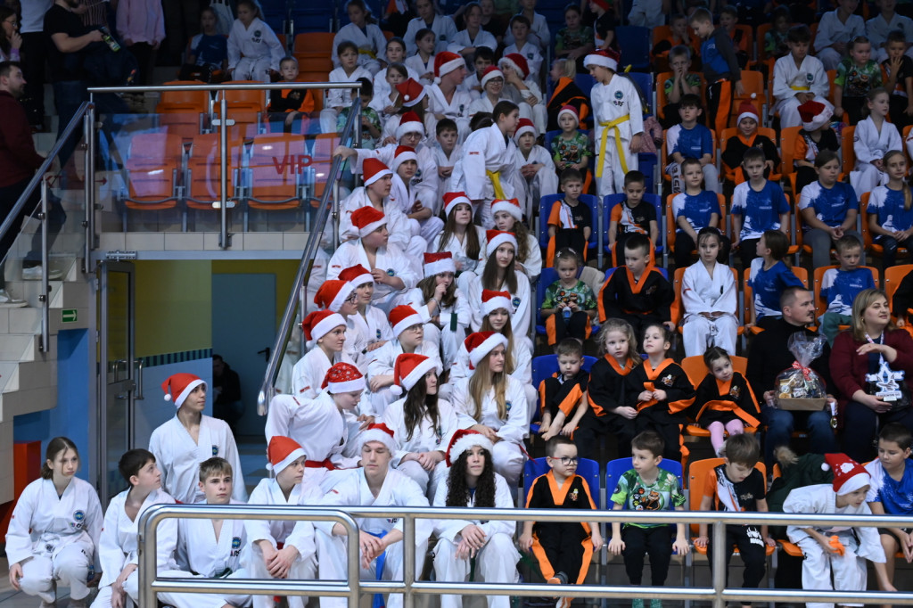 XIV Mikołajkowy Turniej w taekwon-do
