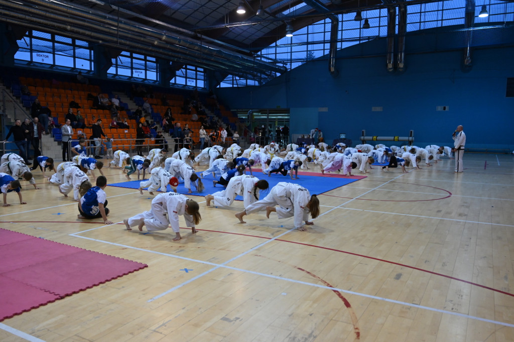 XIV Mikołajkowy Turniej w taekwon-do