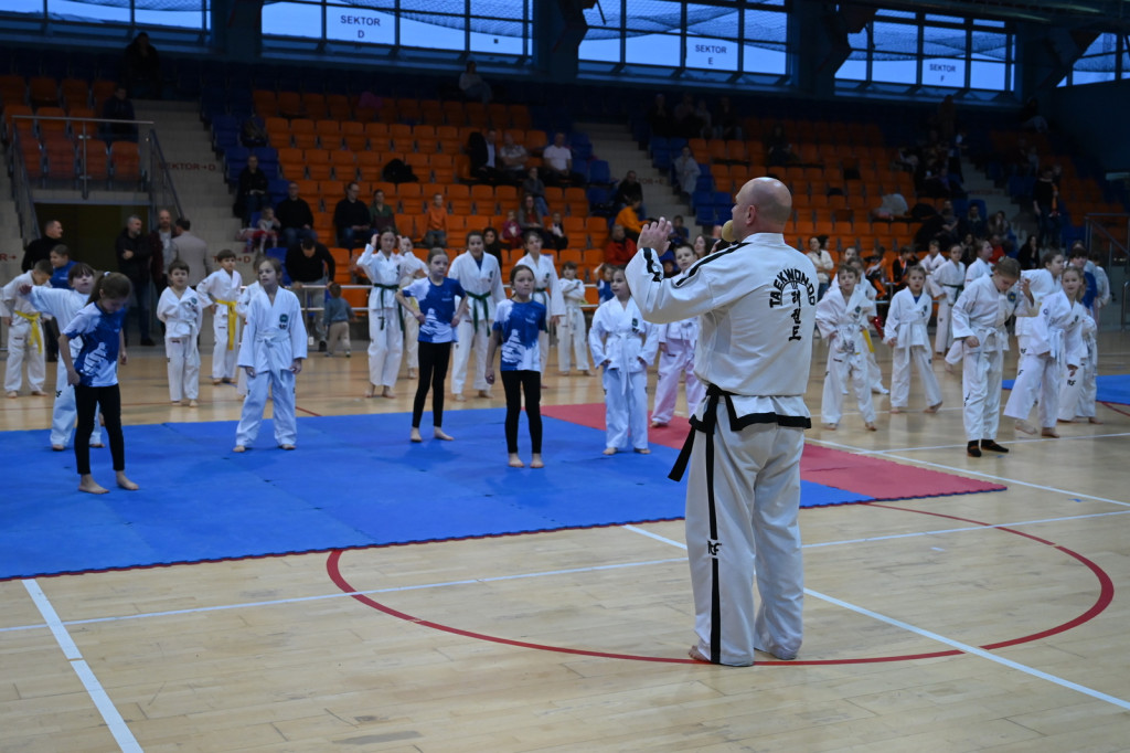 XIV Mikołajkowy Turniej w taekwon-do