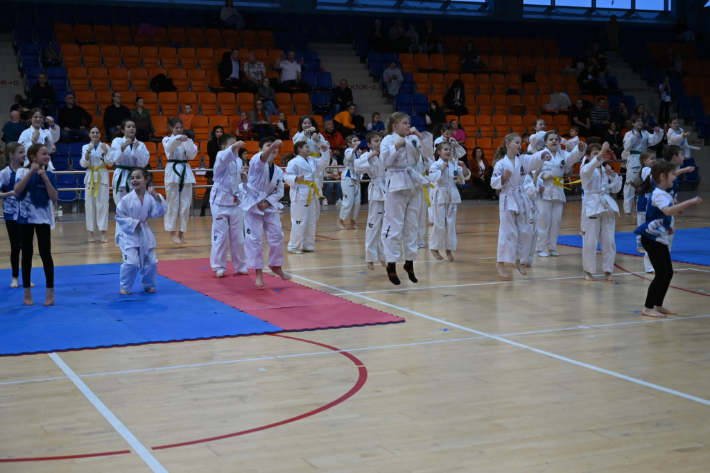XIV Mikołajkowy Turniej w taekwon-do