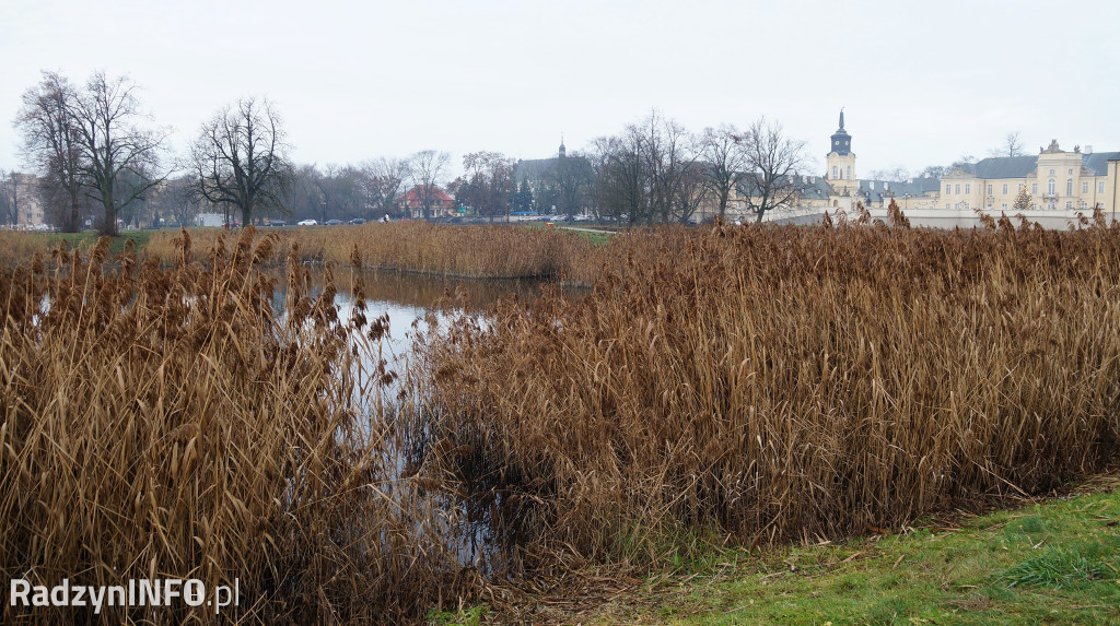 Stawy w Radzyniu