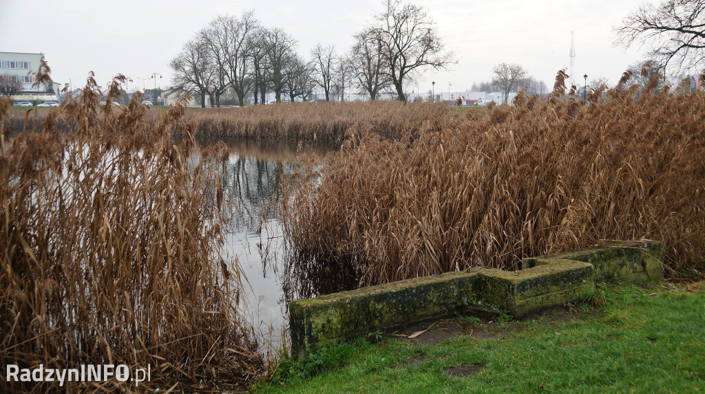 Stawy w Radzyniu