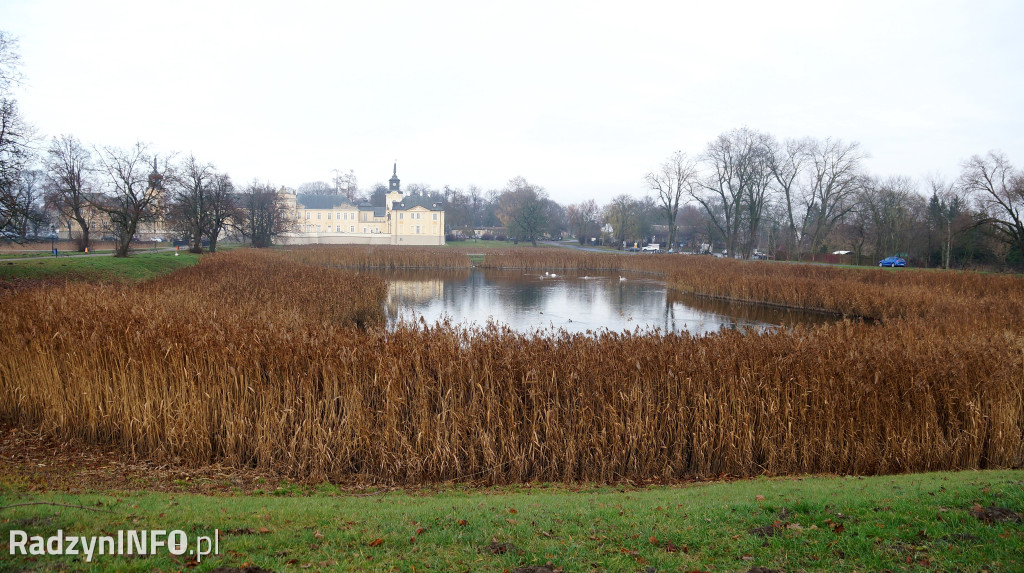 Stawy w Radzyniu