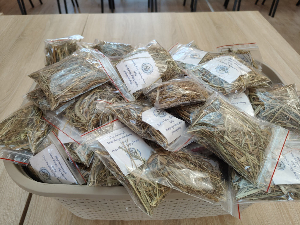 Przygotowywanie siana i pierników przez oazowiczów