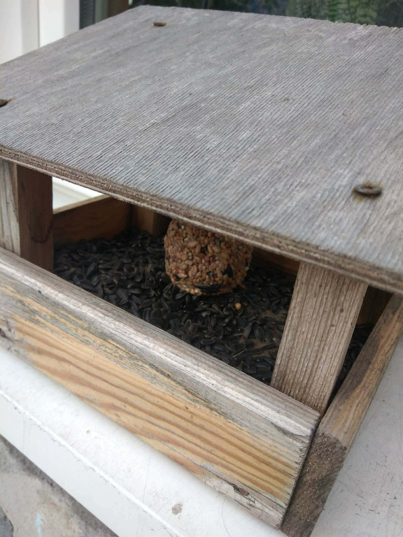 Warsztaty w SOSW z pracownicą Nadleśnictwa