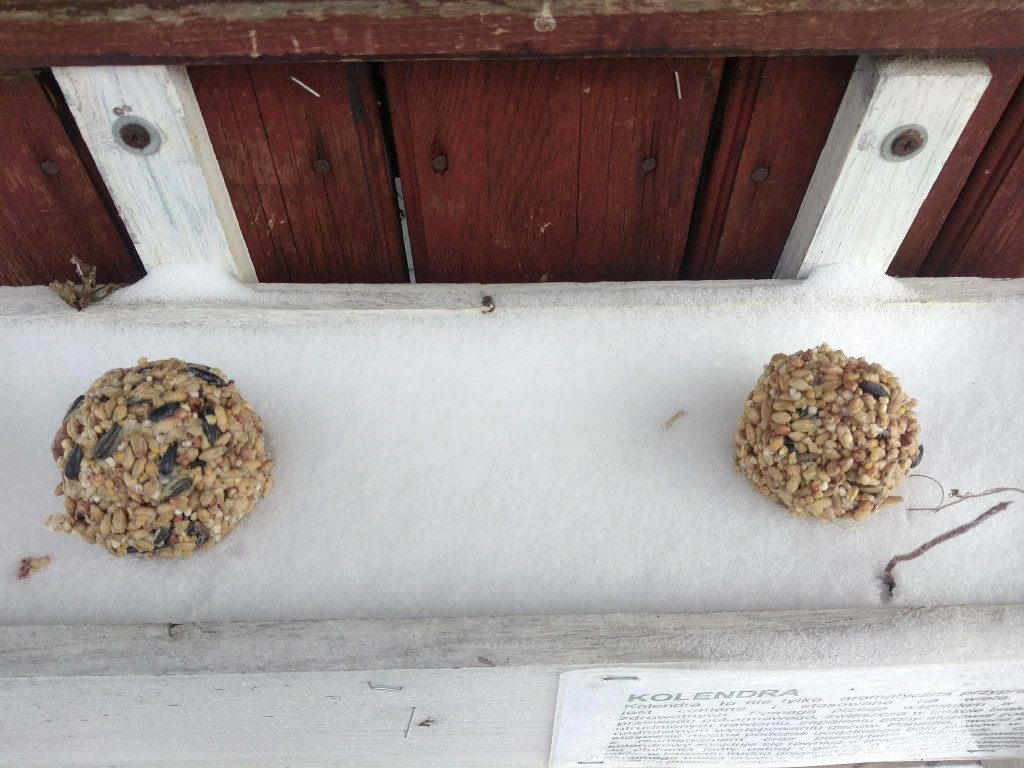 Warsztaty w SOSW z pracownicą Nadleśnictwa