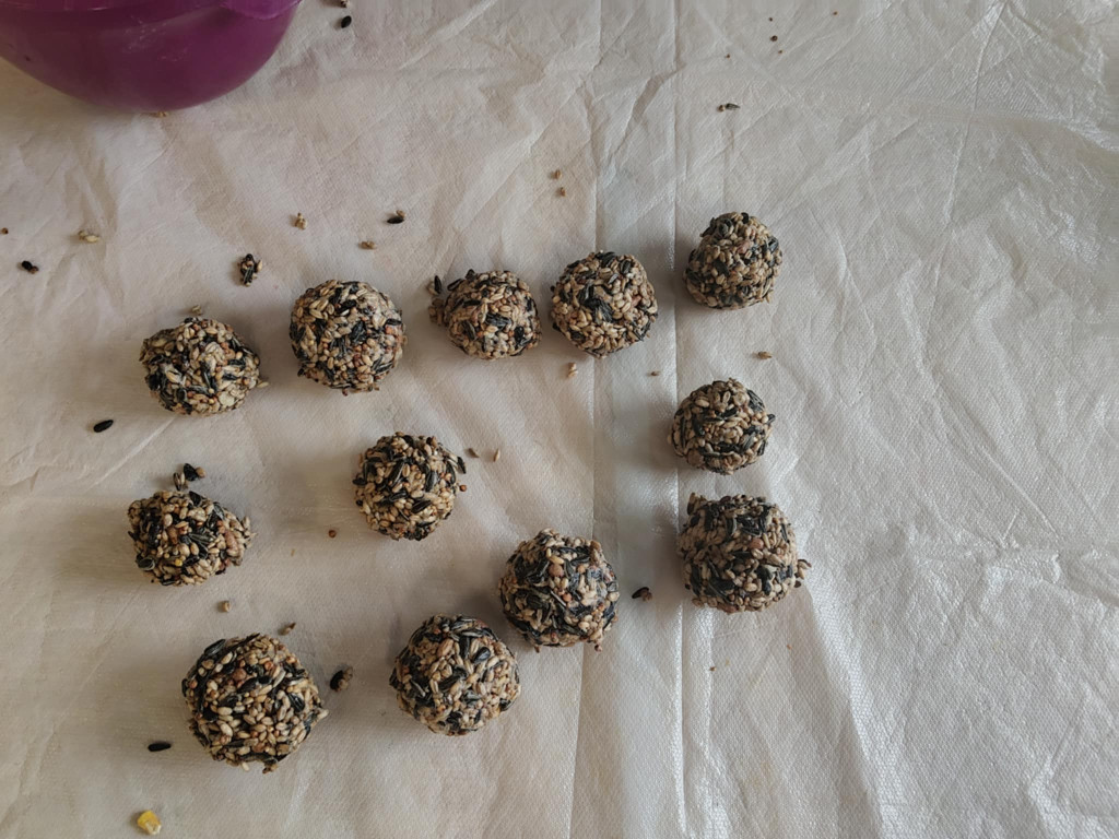 Warsztaty w SOSW z pracownicą Nadleśnictwa