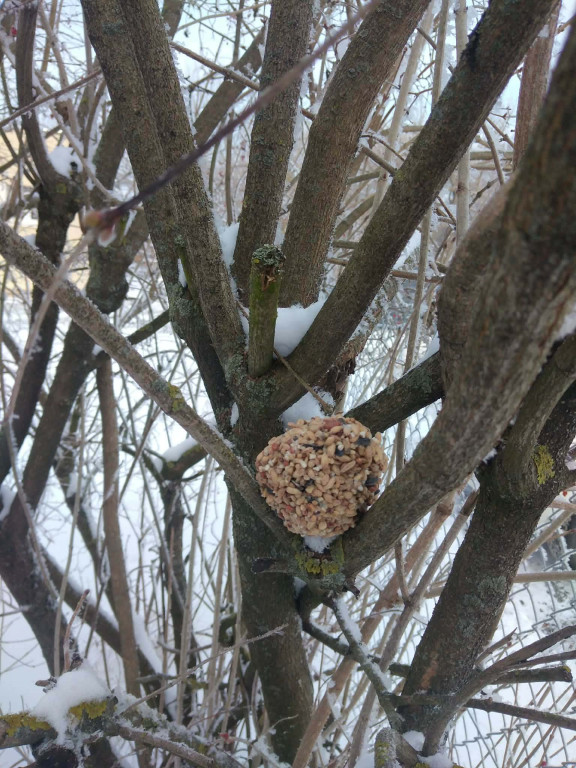 Warsztaty w SOSW z pracownicą Nadleśnictwa