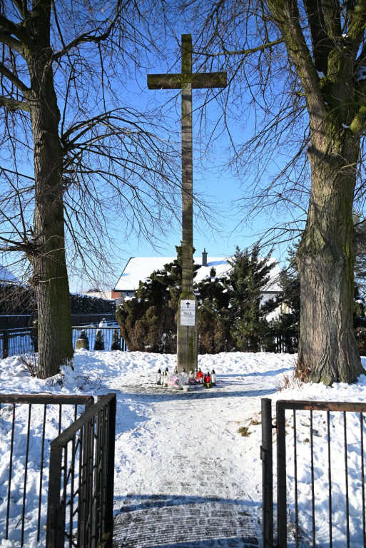 Obchody rocznicy powstania styczniowego w Radzyniu