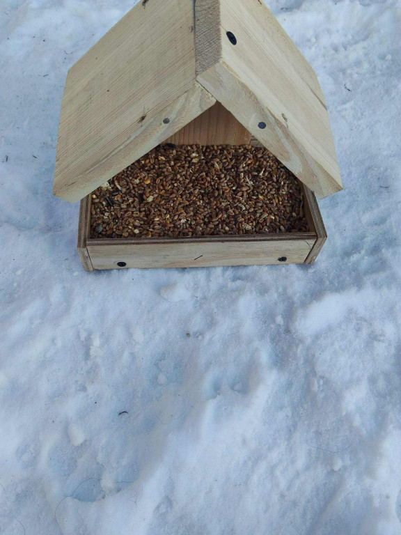 Zajęcia robienia karmników dla ptaków w SOSW