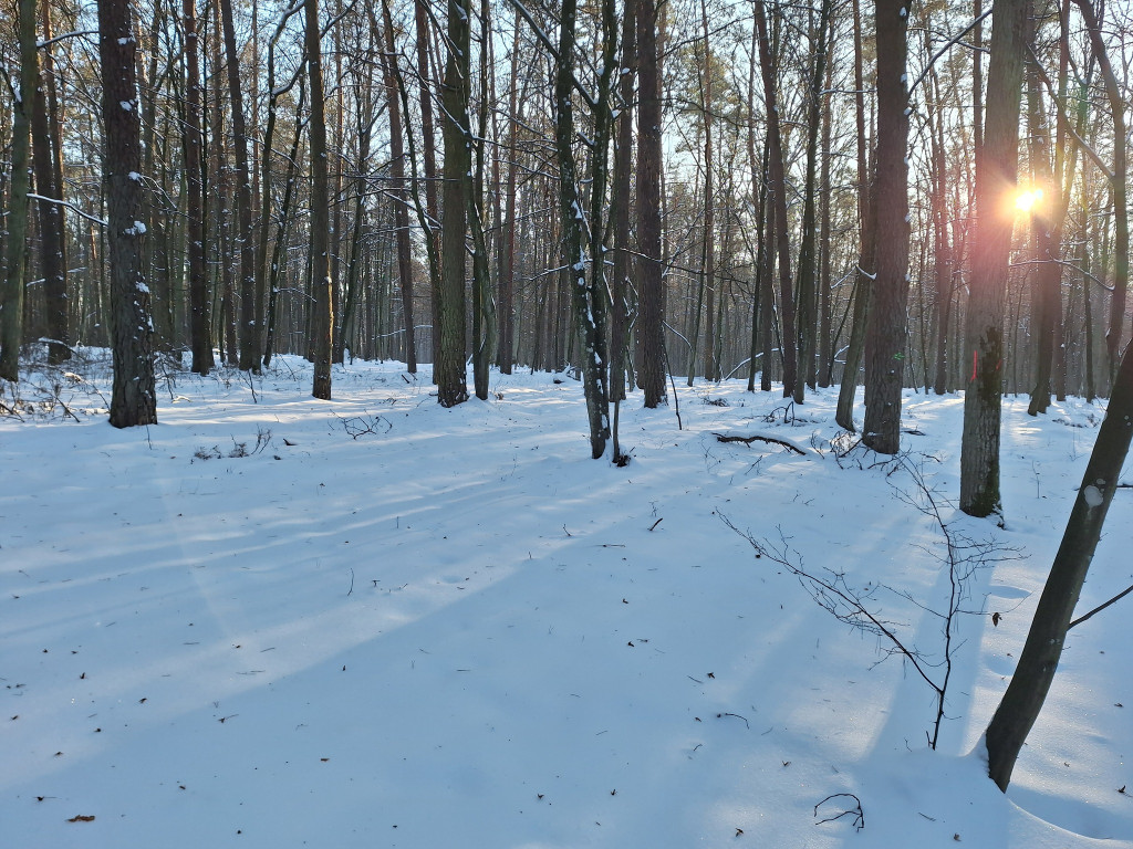 IV Rowerowy Rajd Szlakiem Trzech Krzyży