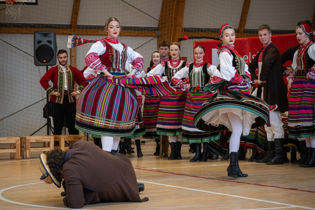 Zespół Pieśni i Tańca \