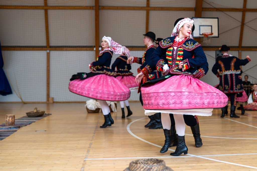 Zespół Pieśni i Tańca \