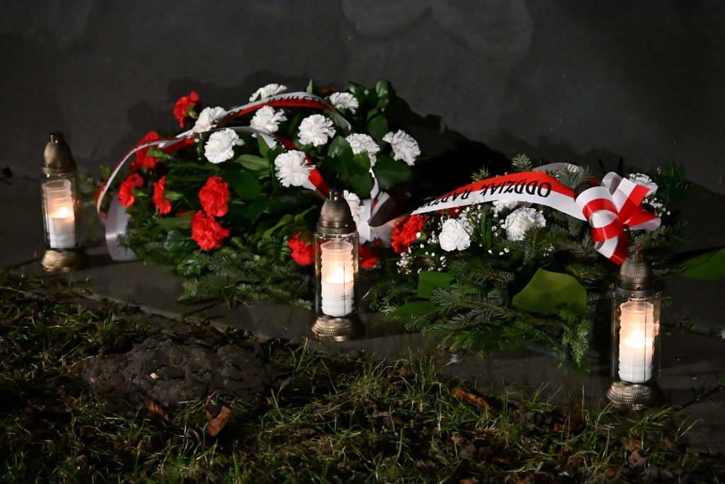 Dzień Pamięci Żołnierzy Wyklętych w Radzyniu