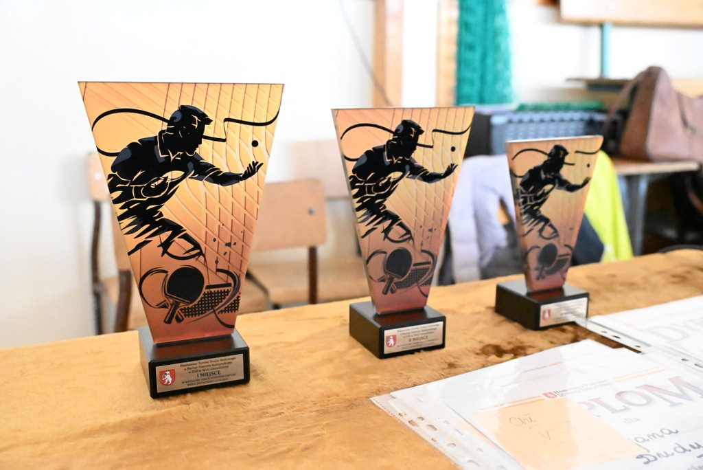 VI Powiatowy Turniej Tenisa Stołowego