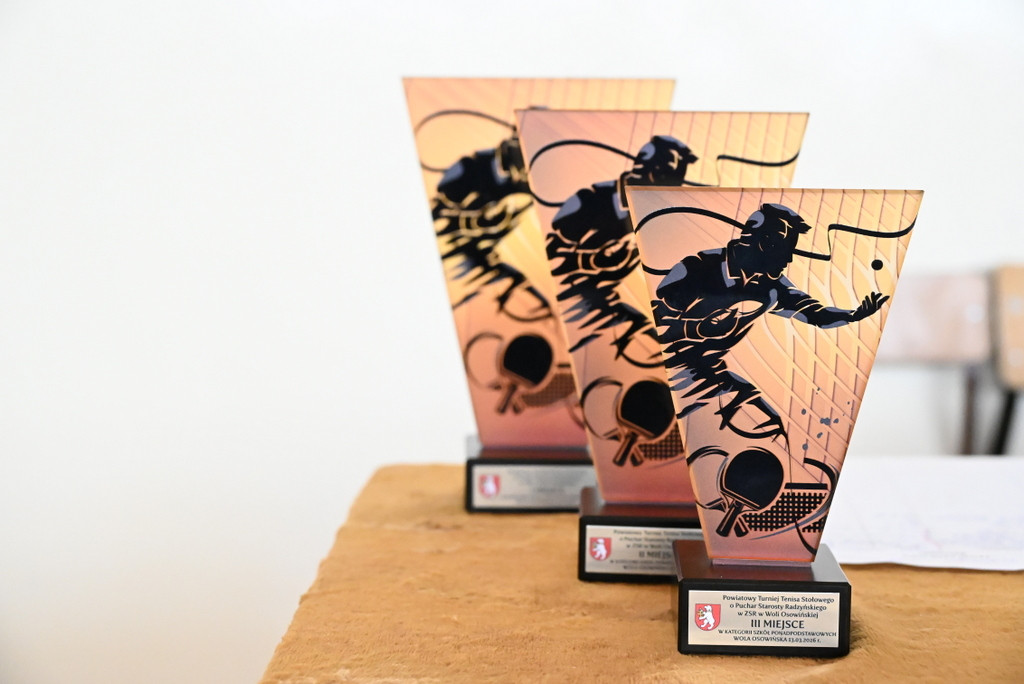 VI Powiatowy Turniej Tenisa Stołowego