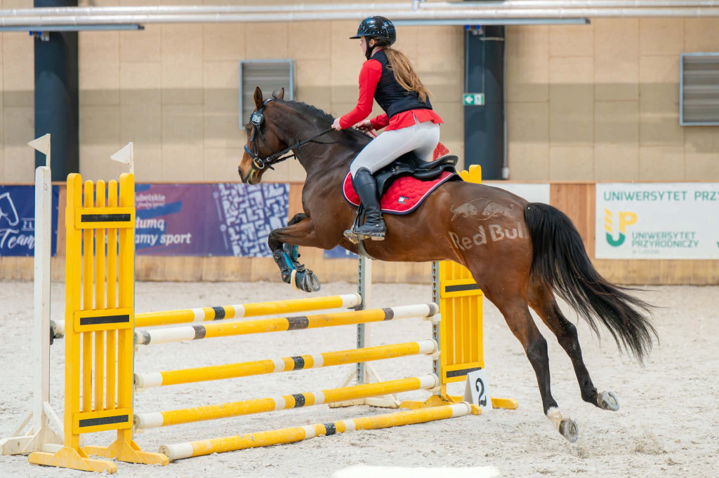 Wicemistrzyni w skokach przez przeszkody z I LO