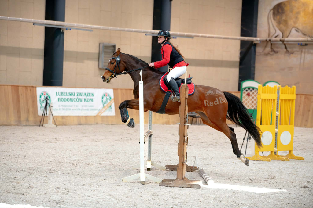 Wicemistrzyni w skokach przez przeszkody z I LO