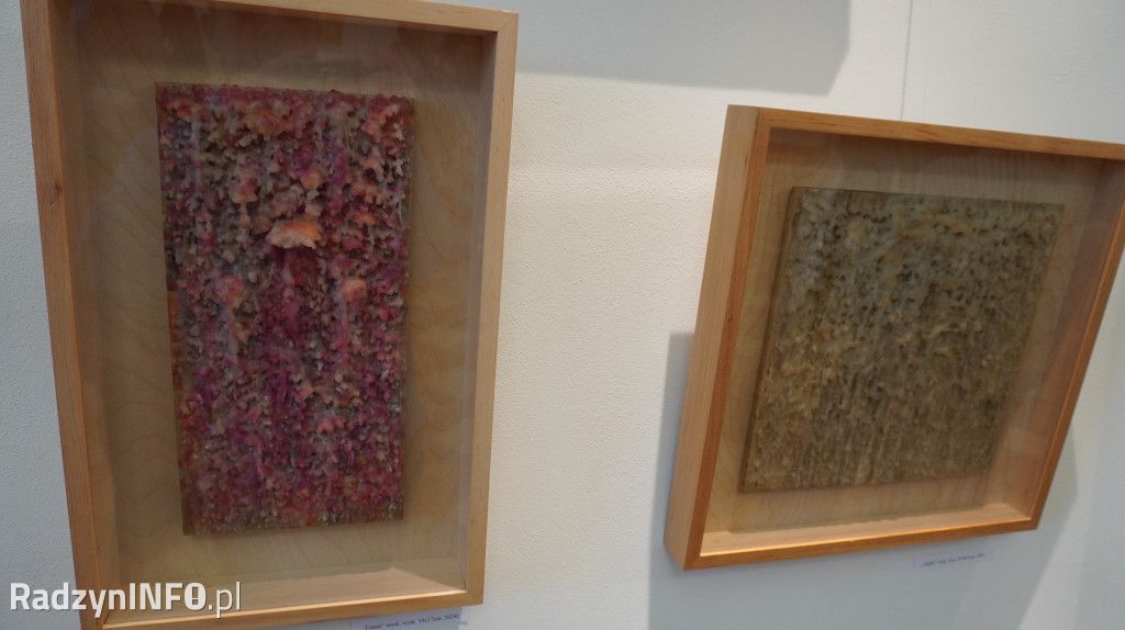 Wystawa prac Mariusza Drzewińskiego