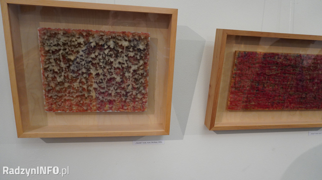 Wystawa prac Mariusza Drzewińskiego