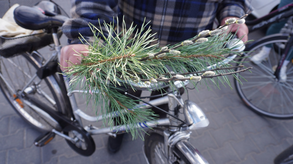 Akcja >>Dzień dobry wiosno<<