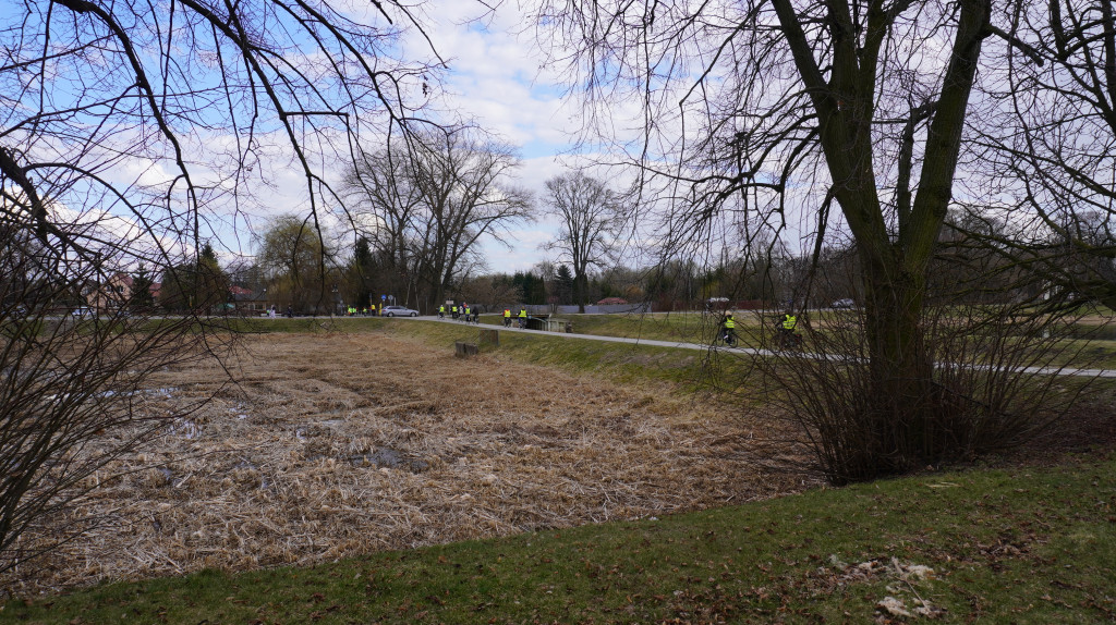 Akcja >>Dzień dobry wiosno<<