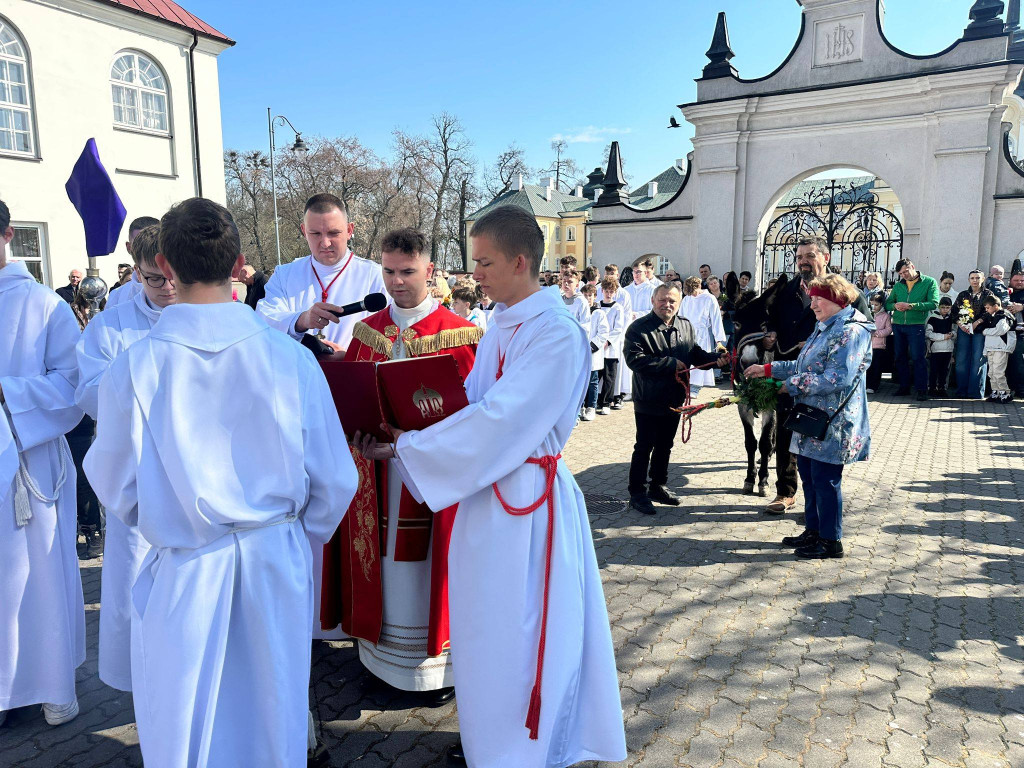Procesja w Niedzielę Palmową w parafii Trójcy Św.