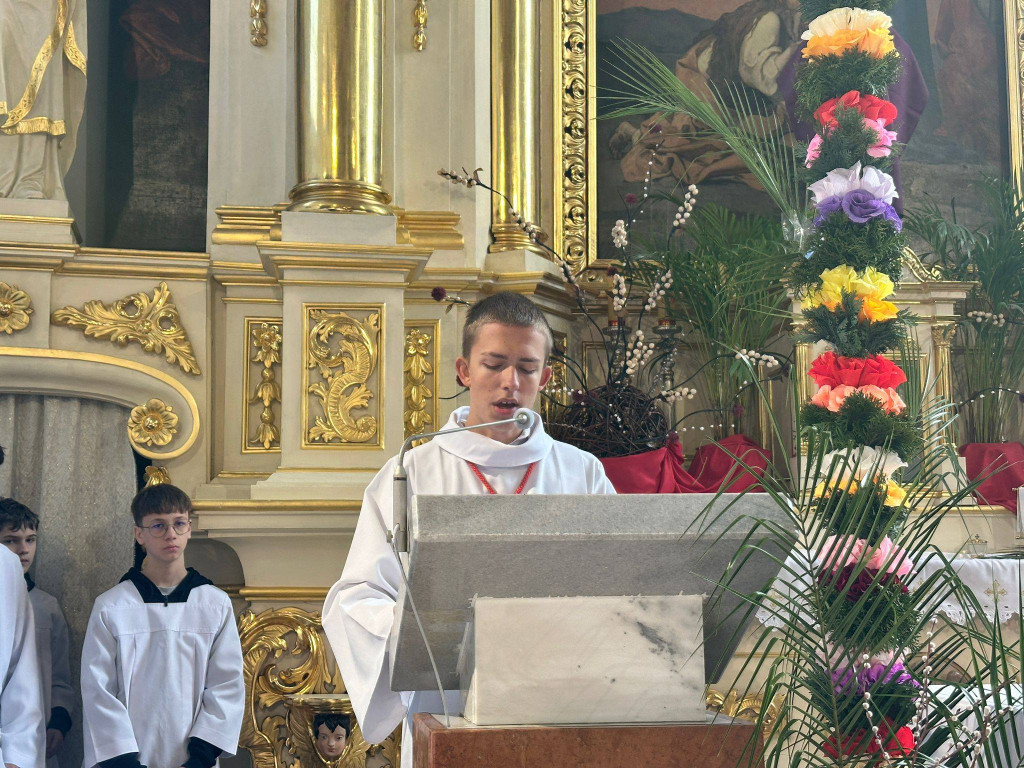 Procesja w Niedzielę Palmową w parafii Trójcy Św.