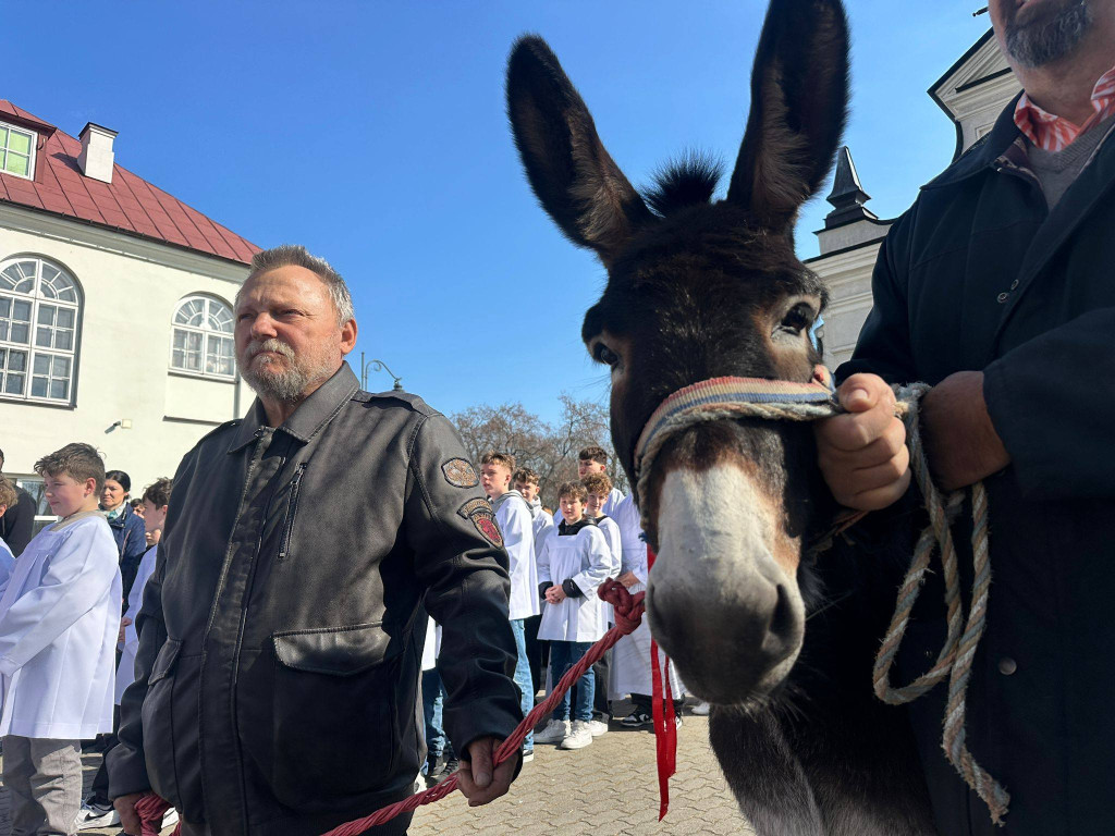 Procesja w Niedzielę Palmową w parafii Trójcy Św.