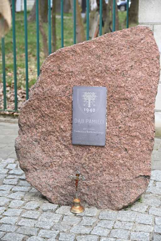 XII Katyńska Droga Krzyżowa w Radzyniu