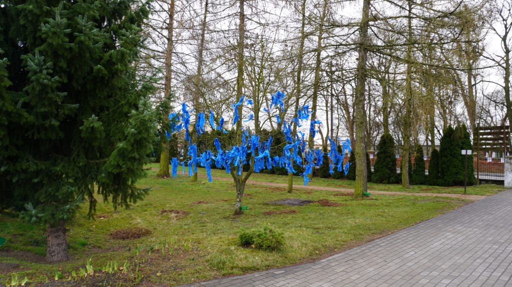 Światowy Dzień Świadomości Autyzmu w Radzyniu