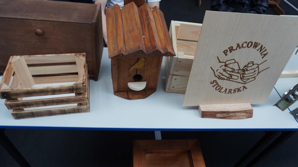 Targi Pracy i Edukacji w Radzyniu