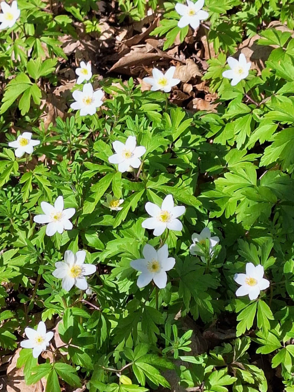 III Rowerowy Rajd Dyngusowy