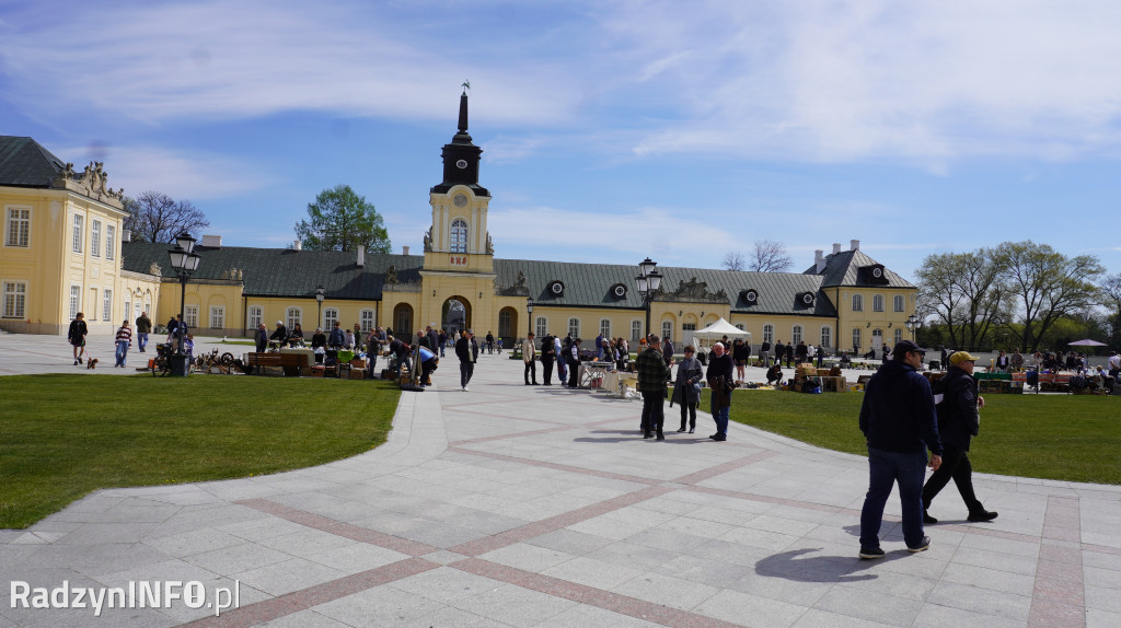 Targowisko Różności w Radzyniu
