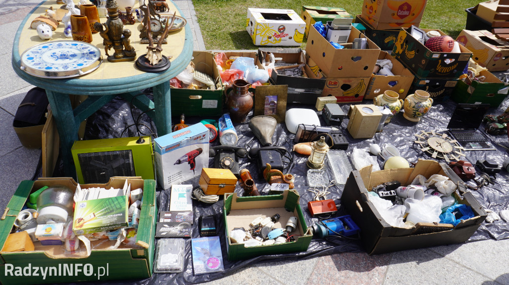 Targowisko Różności w Radzyniu