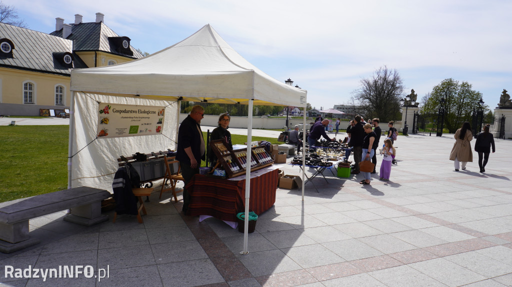 Targowisko Różności w Radzyniu